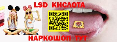 прущие крисы Камышлов