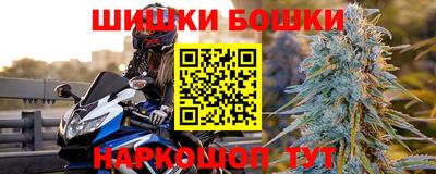 прущие крисы Камышлов