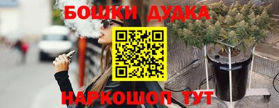 прущие крисы Камышлов
