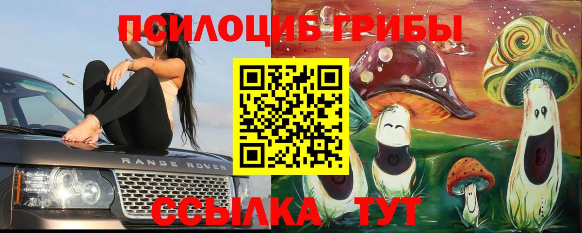 Галлюциногенные грибы Psilocybine cubensis Краснознаменск