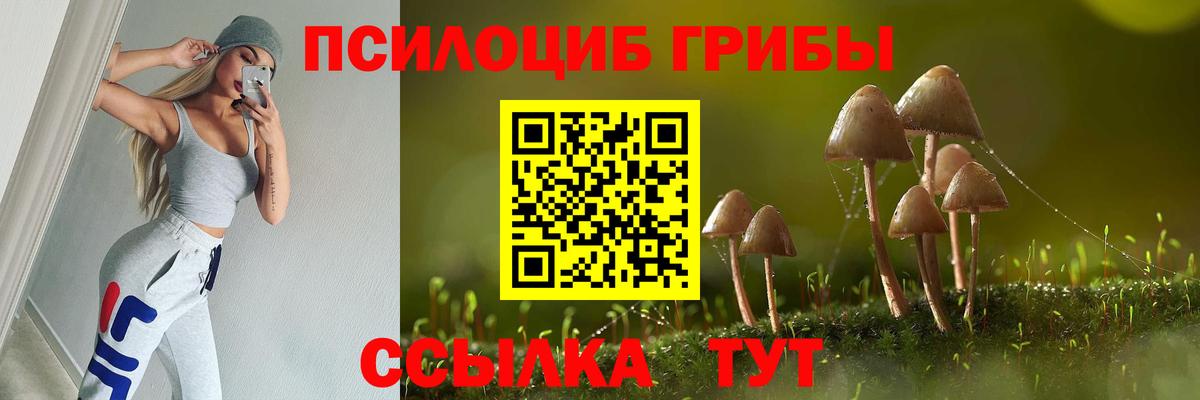 Краснознаменск  Псилоцибиновые грибы MAGIC MUSHROOMS  Вход с VPN 